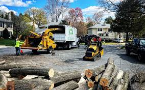 Best Hazardous Tree Removal  in Augusta, KS
